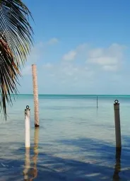 Ambergris Caye