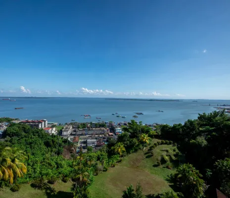 Isla de Borneo