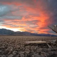 Nevada