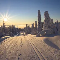 Lappi