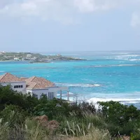 Anguila