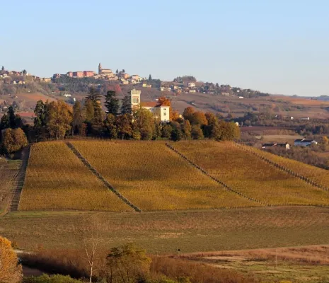 Barolo