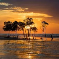 Islas Tiwi