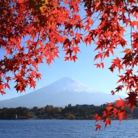 Japón