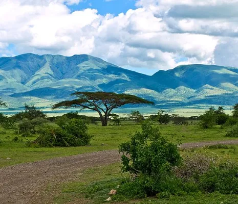 Tanzania