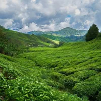 Malasia