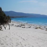 Puerto Pino