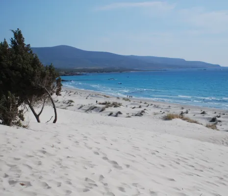 Puerto Pino
