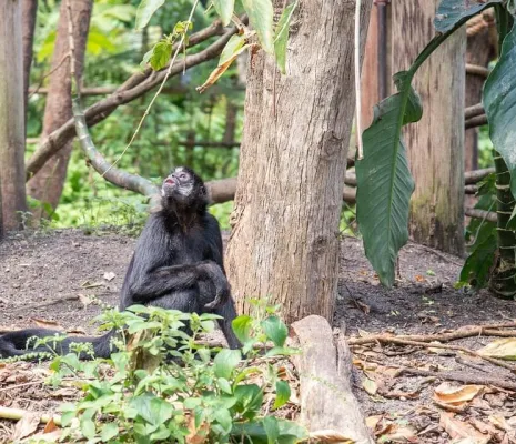 República del Congo