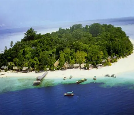 Isla de Borneo